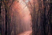 注意防范！沙特媒体：沙特队周二训练特别增设点球专项训练.