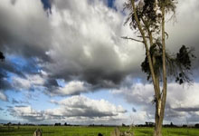 奇异果体育官网：大连英博海发主场首战！警方提示.