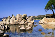 两支英超球队欧联16强赛首回合不胜 红魔平热刺败.